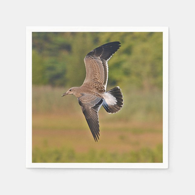 Sea Gull Paper Napkin (Front)