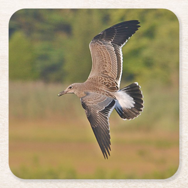 Sea Gull Party Coaster (Front)