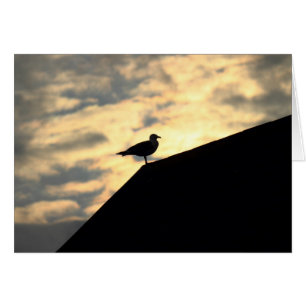 Sea Gull Sunset