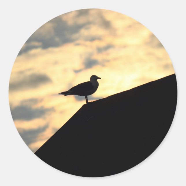 Sea Gull Sunset Classic Round Sticker (Front)