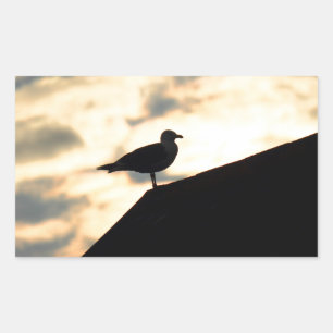 Sea Gull Sunset Sticker