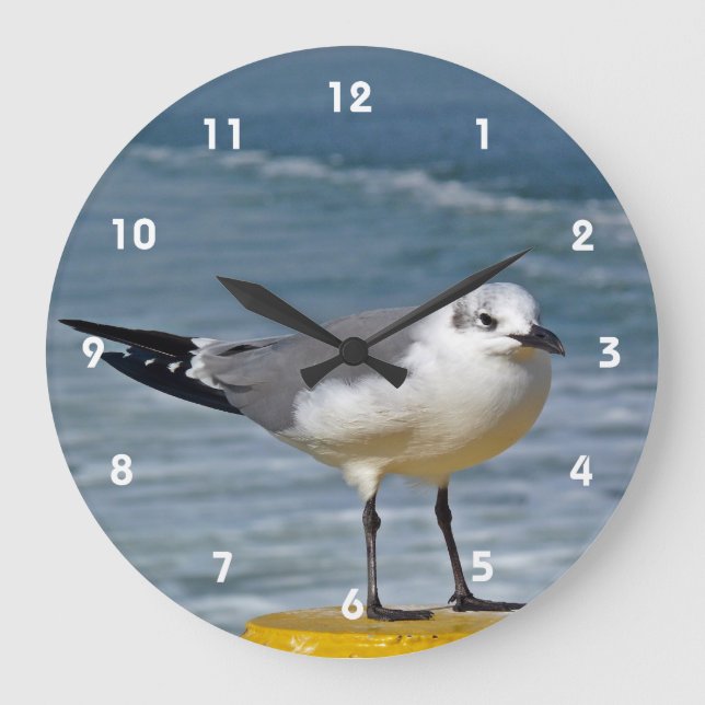 Sea Gull  Wall Clock (Front)