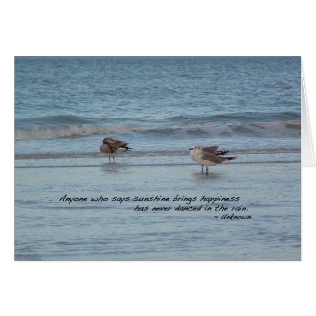 Sea Gulls in Naples, Florida (Front Horizontal)