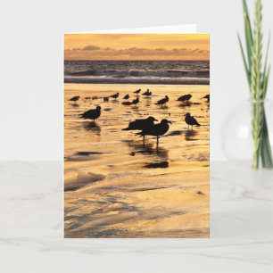 Sea Gulls On Beach At Sunset Card
