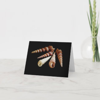 Sea Horns Card