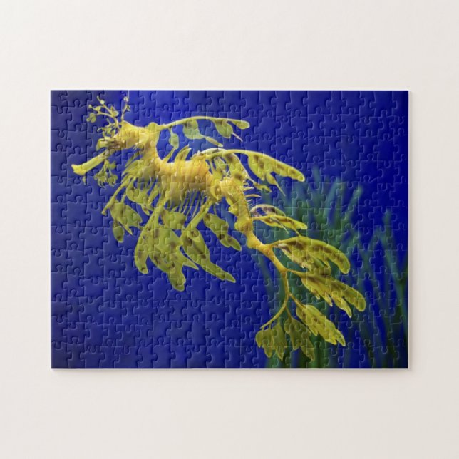Sea horse jigsaw puzzle (Horizontal)