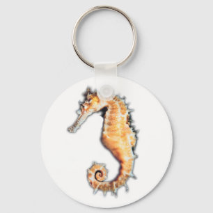 Sea horse keychain