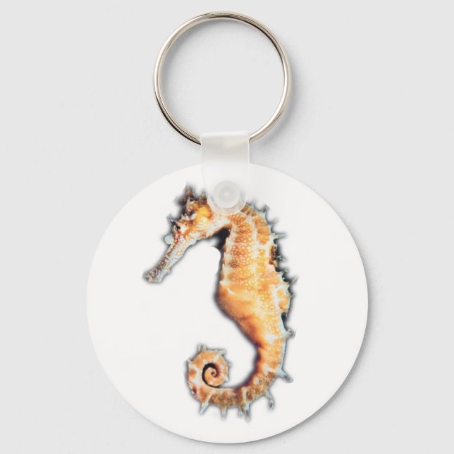 Sea horse keychain (Front)