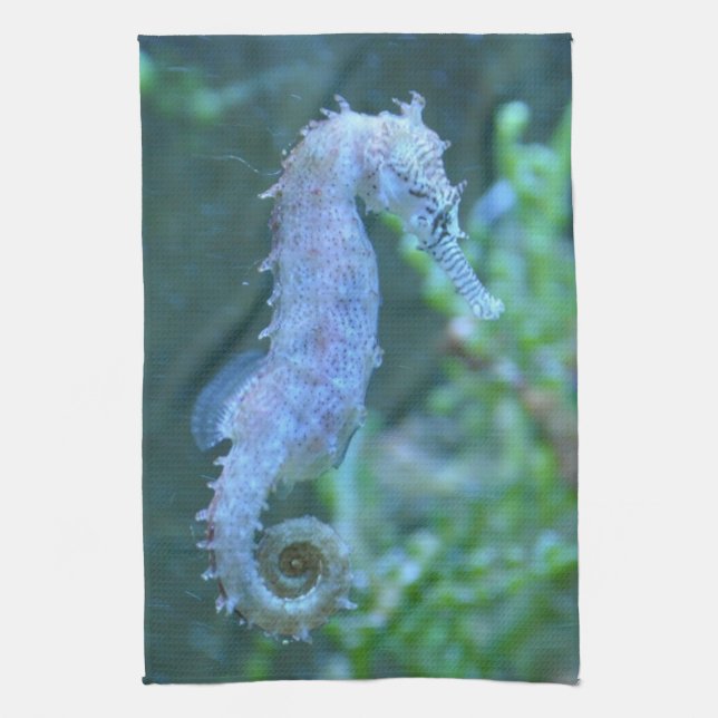 Sea Horse Kitchen Towel (Vertical)