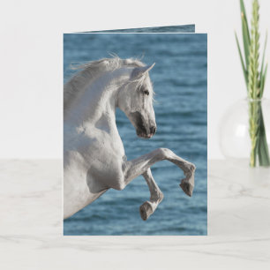 Sea Horse Rearing - Horse Greeting Card