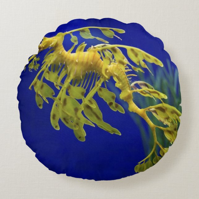 Sea horse round pillow (Front)