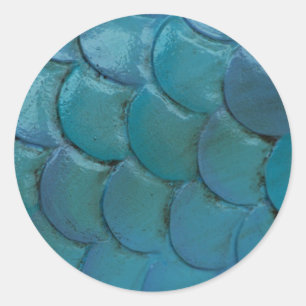 Sea-Horse Scales Sticker