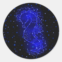 sea horse swims in lights