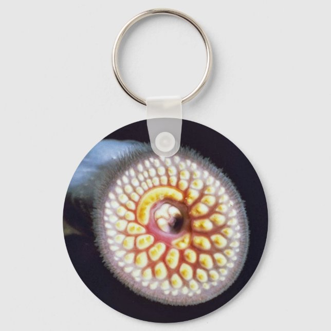 Sea Lamprey Keychain (Front)
