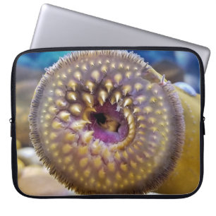 Sea Lamprey Mouth Laptop Sleeve