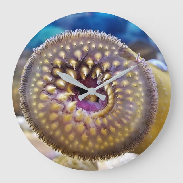 Sea Lamprey Mouth Large Clock (Front)