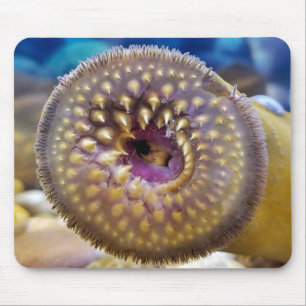 Sea Lamprey Mouth Mouse Pad