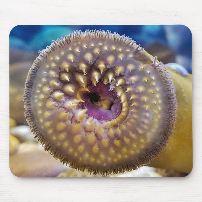 Sea Lamprey Mouth Mouse Pad (Front)