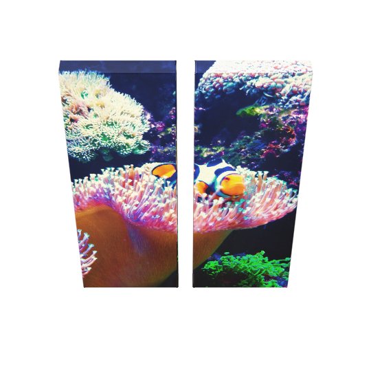 Sea Life Clown Fish Picture Canvas Print