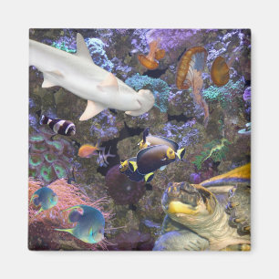 Sea Life Magnet