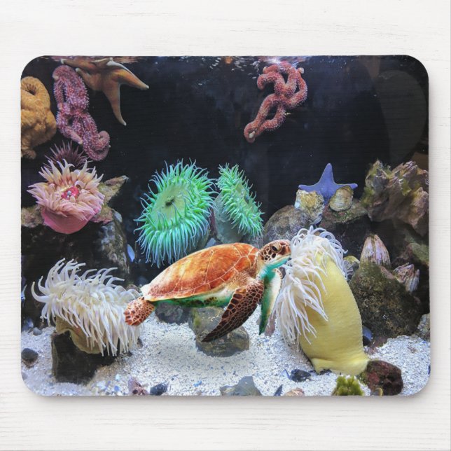 Sea Life Mouse Pad (Front)