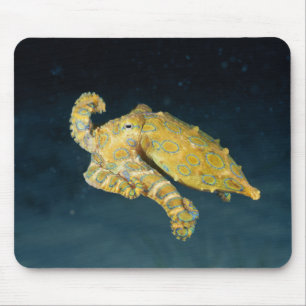 Sea Life - Octopus Mouse Pad