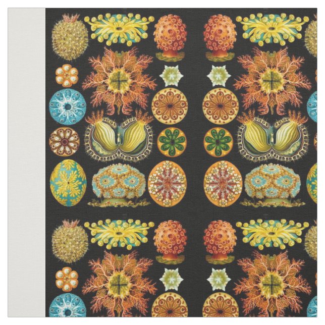 sea life sea creatures print fabric (Swatch)