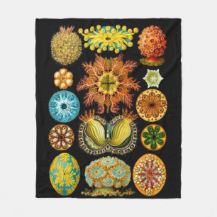 sea life sea creatures print fleece blanket