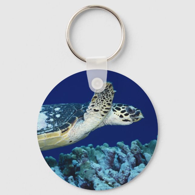Sea Life - Sea Turtle Keychain (Front)