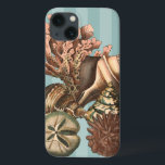 Sea Life Silhouette iPhone 13 Case<br><div class="desc">This art print displays the finest things in nature within the ocean. Find all the different types of sea life in this image including a Conch Seashell,  Sand Dollars,  and Reefs buried deep in the sea. This art collection is a must have in your next Zazzle products.</div>