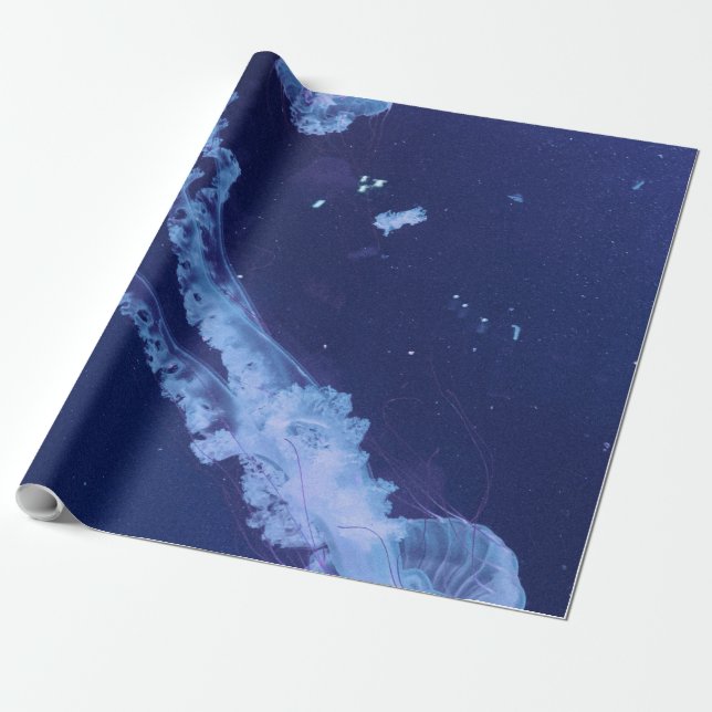 Sea Life Wrapping Paper (Unrolled)