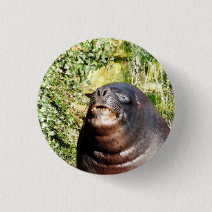 SEA LION 1 INCH ROUND BUTTON