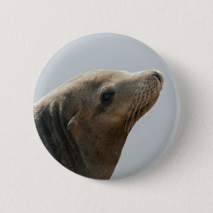Sea Lion 2 Inch Round Button