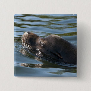 Sea Lion 2 Inch Square Button