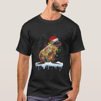 Sea Lion Await Santa With Christmas Lights Matchin T-Shirt