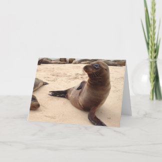 Sea Lion Blank Greeting Card