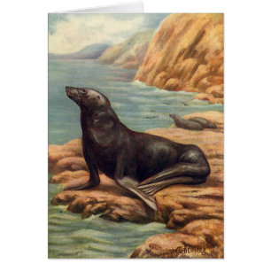 Sea Lion by the Seashore, Vintage Marine Mammals