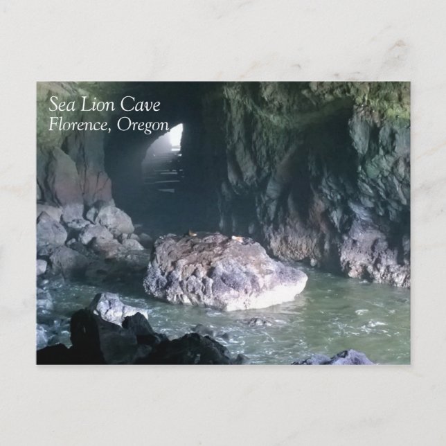 Sea Lion Cave, OR Postcard (Front)