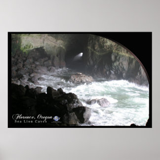 SEA LION CAVES POSTER