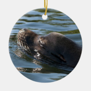 Sea Lion Ceramic Ornament