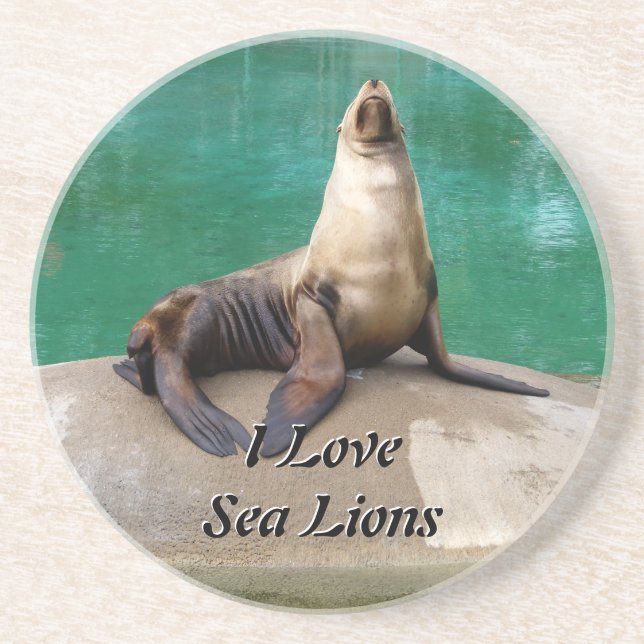 Sea Lion Coaster (Front)
