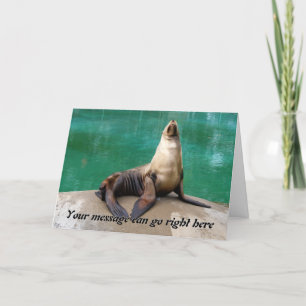 Sea Lion Greeting Card
