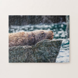 Sea Lion In Resurrection Bay, Alaska Jigsaw Puzzle