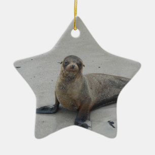 Sea Lion in the Galapagos Islands!! Ceramic Ornament