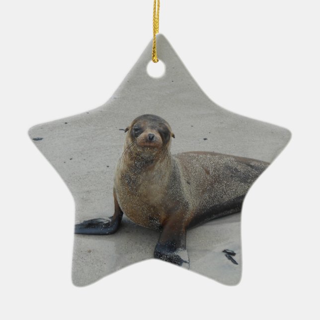 Sea Lion in the Galapagos Islands!! Ceramic Ornament (Front)