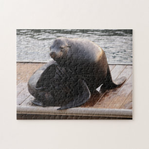 Sea Lion, Jetée 39, San Francisco Jigsaw puzzle