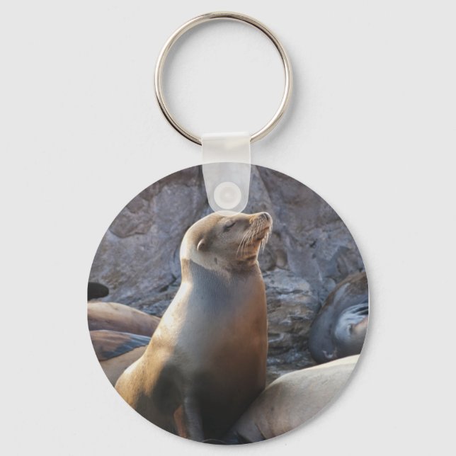 Sea Lion Keychain (Front)