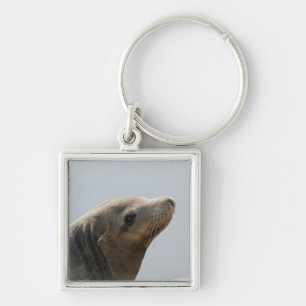Sea Lion Keychain