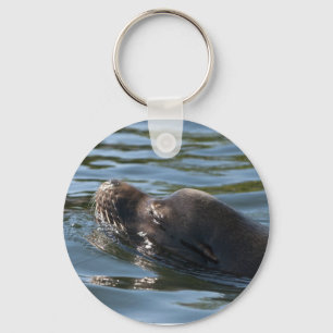 Sea Lion Keychain