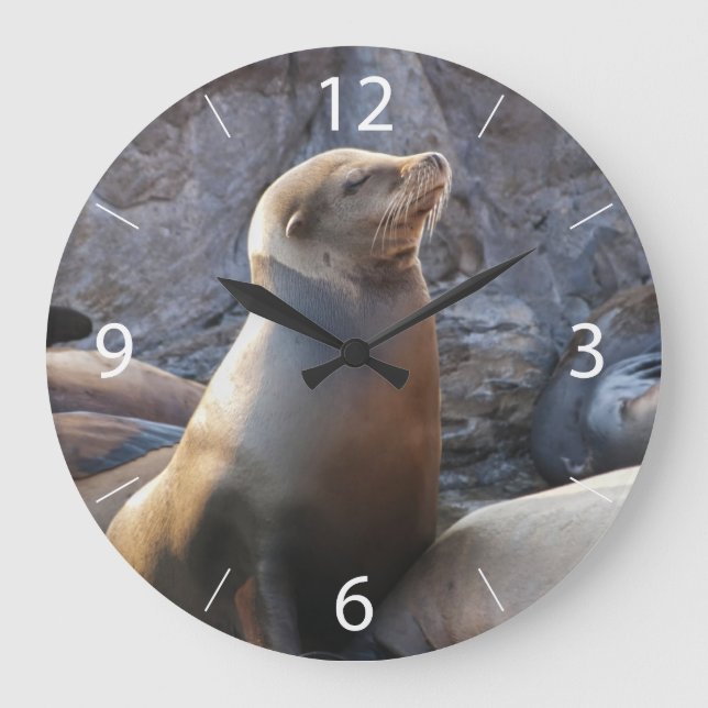 Sea Lion Large Clock (Front)